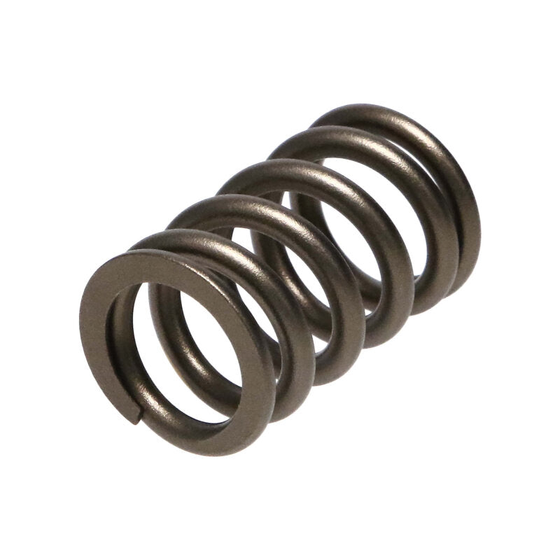 Manley Performance Manley 90-06 Mitsubishi (4G63-4G63T) 16pc Valve Springs (1.100/.775)