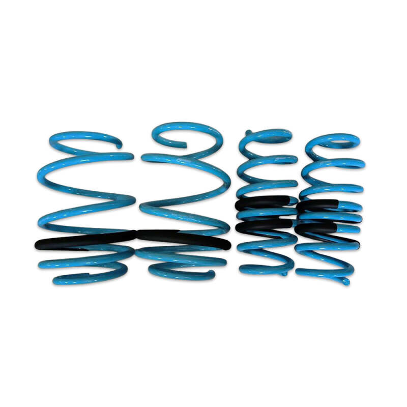 BLOX Racing Lowering Springs 96-00 Honda Civic
