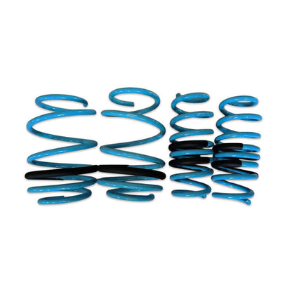 BLOX Racing Lowering Springs 96-00 Honda Civic