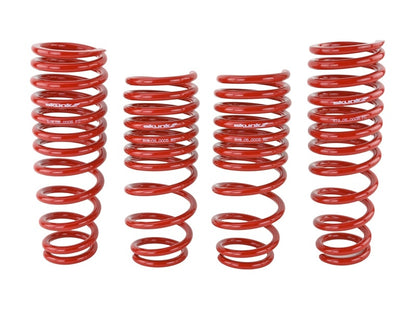 Skunk2 Racing Skunk2 94-01 Acura Integra Lowering Springs (2.50in - 2.25in.) (Set of 4)