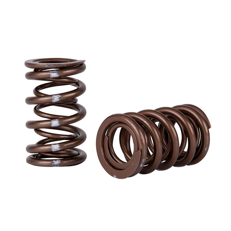 Skunk2 Racing Skunk2 Pro Series Honda/Acura K-Series i-VTEC XP Valve Spring Set (Dual Springs)