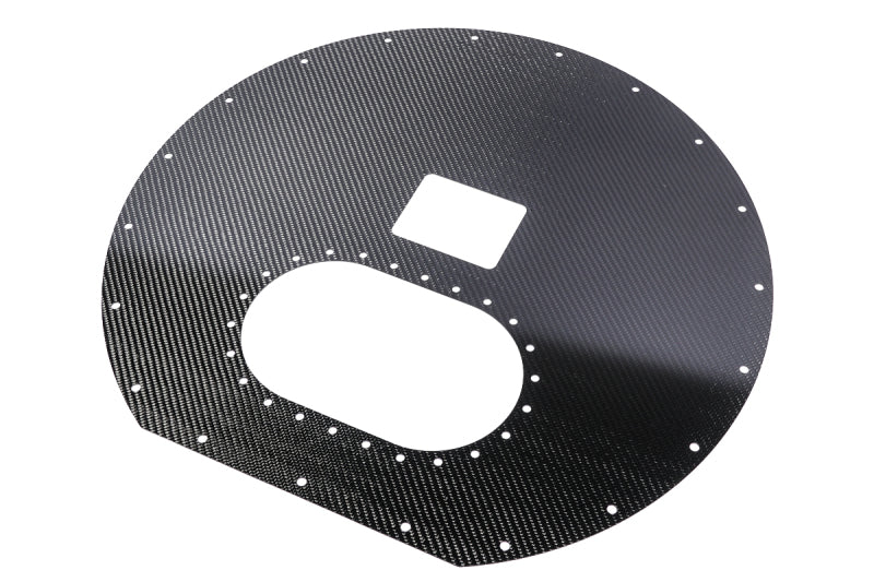 Radium Engineering Carbon Fiber Fuel Cell Lid - Spare Tire Cell