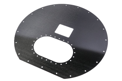 Radium Engineering Carbon Fiber Fuel Cell Lid - Spare Tire Cell