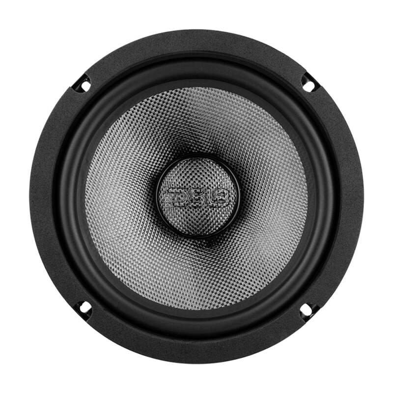 DS18 8in 300 Watts RMS 2 ohm Mid-Bass Loudspeaker Neodymium