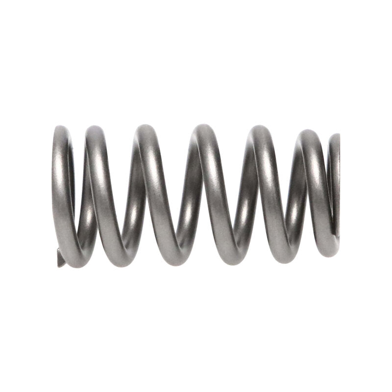 Manley Performance Manley Ford/Mazda 2.0L/2.3L/2.0L 16pc Valve Spring Kit