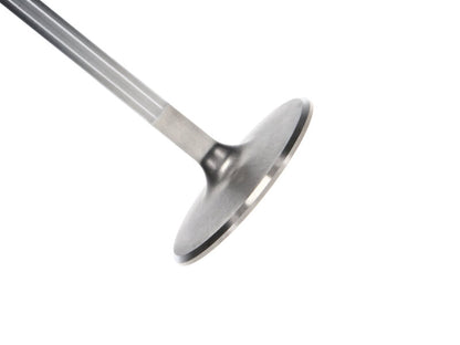 Manley Performance Manley Chevrolet Big Block Intake Valve Kit - 2.300in Head Dia. 5.244in O/A Length, 0.3110in Stem