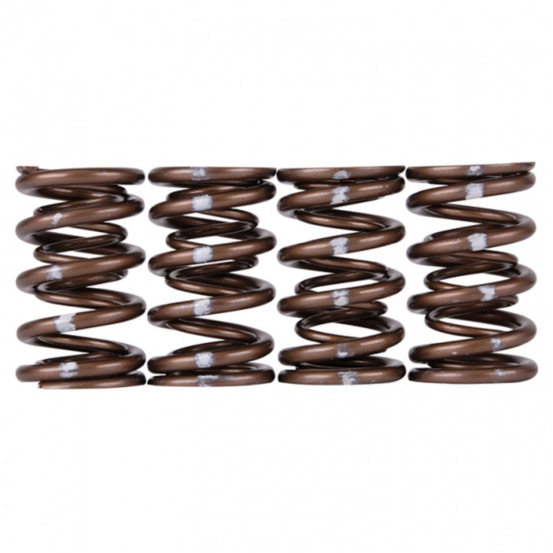 Skunk2 Racing Skunk2 Pro Series Honda/Acura K-Series i-VTEC XP Valve Spring Set (Dual Springs)