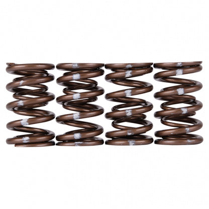 Skunk2 Racing Skunk2 Pro Series Honda/Acura K-Series i-VTEC XP Valve Spring Set (Dual Springs)
