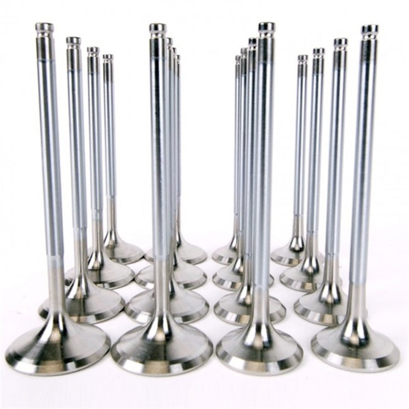 Skunk2 Racing Skunk2 Alpha Series Honda/Acura Stock Size H Series Valve Set (Standard Compression)