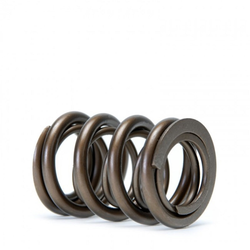 Skunk2 Racing Skunk2 Tuner Series Honda/Acura (B16A/ B17A/ B18C) DOHC VTEC Alpha Valve Spring Set (Dual Springs)