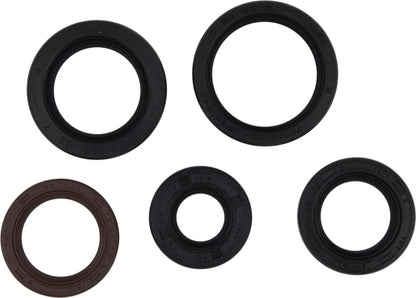 Vertex Pistons Vertex Gaskets 05-23 Polaris Phoenix 200 Oil Seal Kit