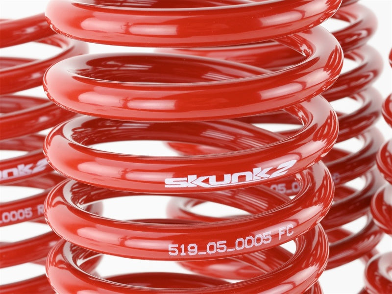 Skunk2 Racing Skunk2 94-01 Acura Integra Lowering Springs (2.50in - 2.25in.) (Set of 4)