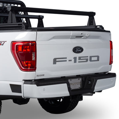 Putco 18-20 Ford F-150 (Cut Letters/Stainless Steel) Tailgate