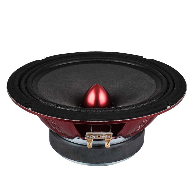 DS18 Pro-X Package w/ Pair of PRO-X8.4BM and a Pair of PRO-TW1X/BK