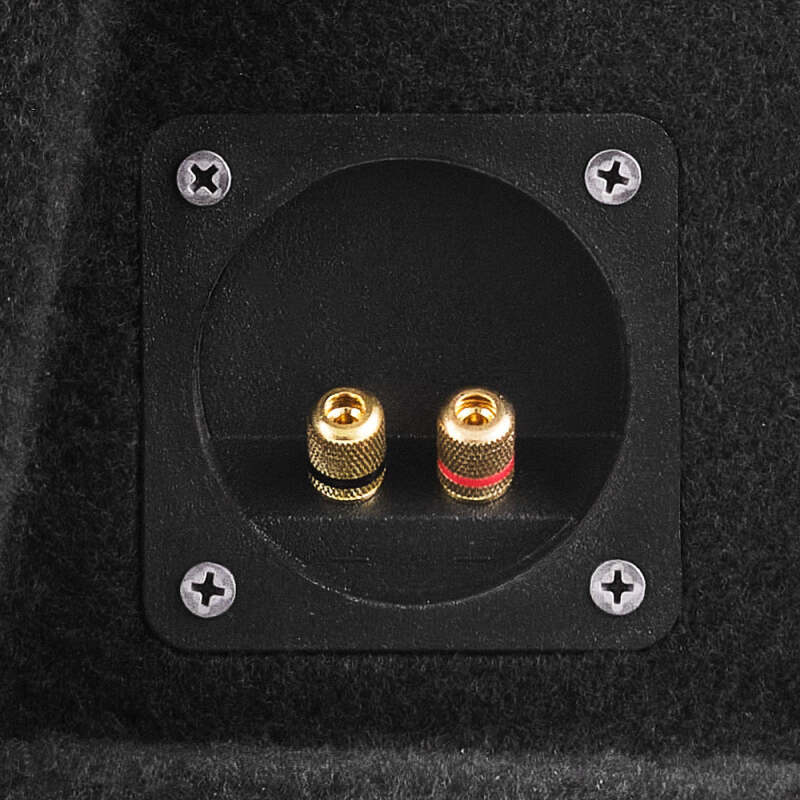 DS18 Dual 12in Shallow Subwoofer and Enclosure 700 Watts RMS Sealed Black Carpet
