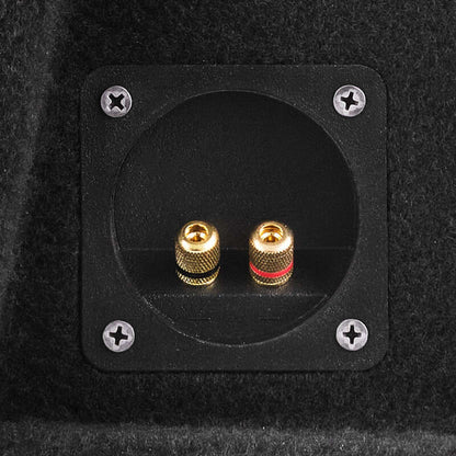 DS18 Dual 12in Shallow Subwoofer and Enclosure 700 Watts RMS Sealed Black Carpet