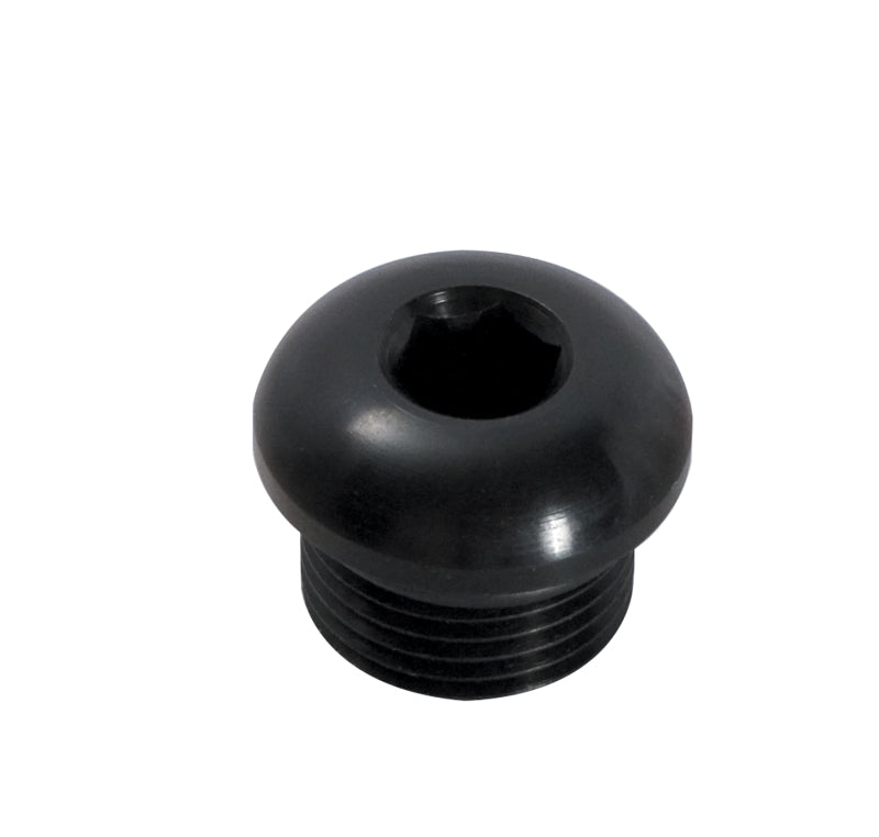 Peterson Fluid Systems Port Plug -12AN Internal Hex
