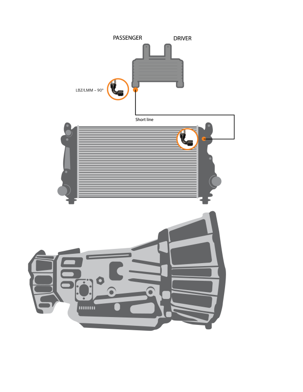 Fleece Performance 06-10 GM 2500/3500 Duramax Replacement Transmission Line (LBZ/LMM) - Short Line