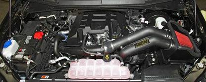 AEM Induction AEM 2015 Ford F-150 3.5L V8 Cold Air Intake System