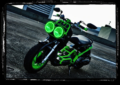 ORACLE Lighting Oracle Honda Ruckus 01-15 LED Halo Kit - Red
