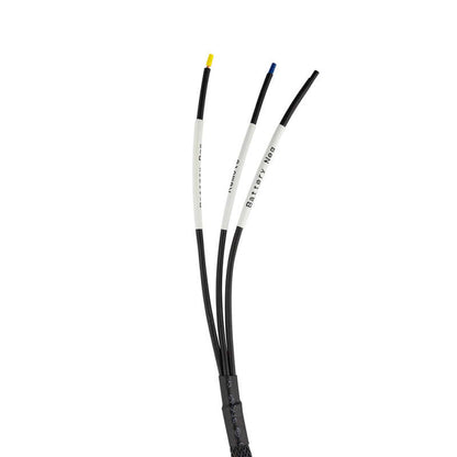 DS18 Plug and Play Harness For Harley-Davidson For DS18 Amp Connection w/ Factory Radio