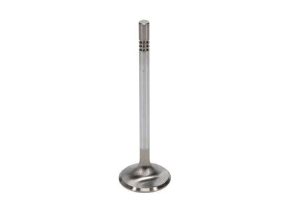 Manley Performance Manley Ford Racing Cylinder Head 4.6L & 5.4L SOHC 36.0mm Race Master Exhaust Valve (Single)