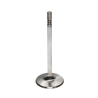 Manley Performance Manley 99-12 Ford V8 4.6L/281 5.4/330 45.5mm Race Series Stainless Steel Intake Valves (Set of 8)