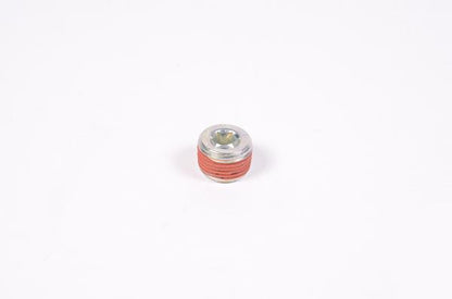 Radium Engineering 3/8in NPT Plug
