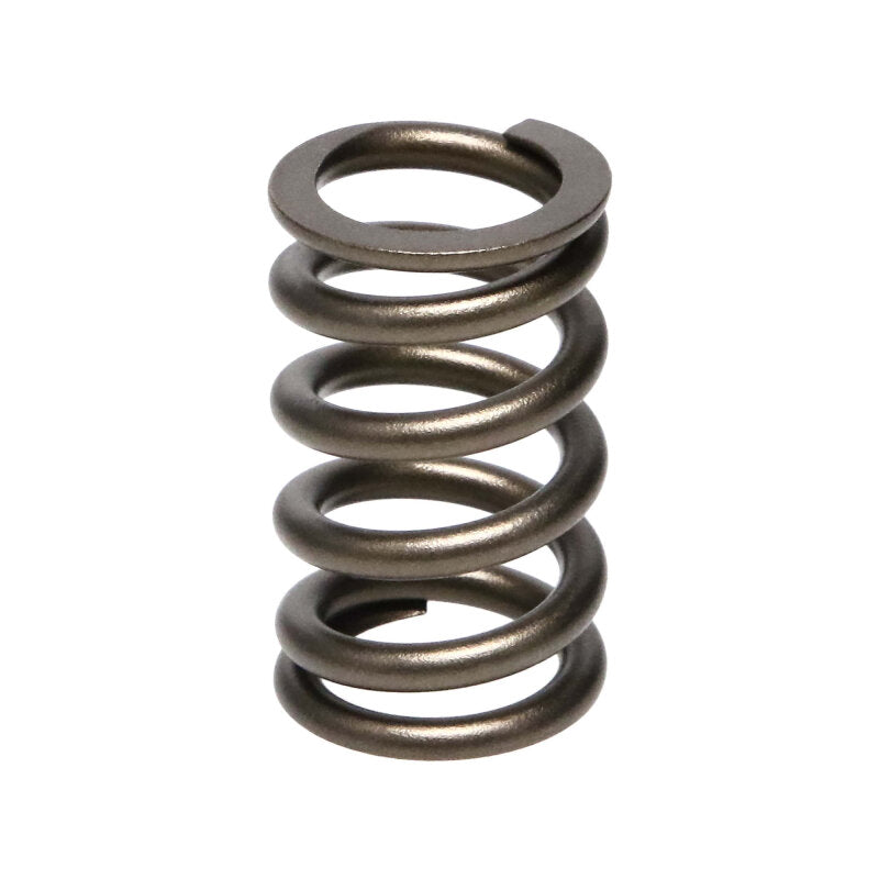 Manley Performance Manley 90-06 Mitsubishi (4G63-4G63T) 16pc Valve Springs (1.100/.775)