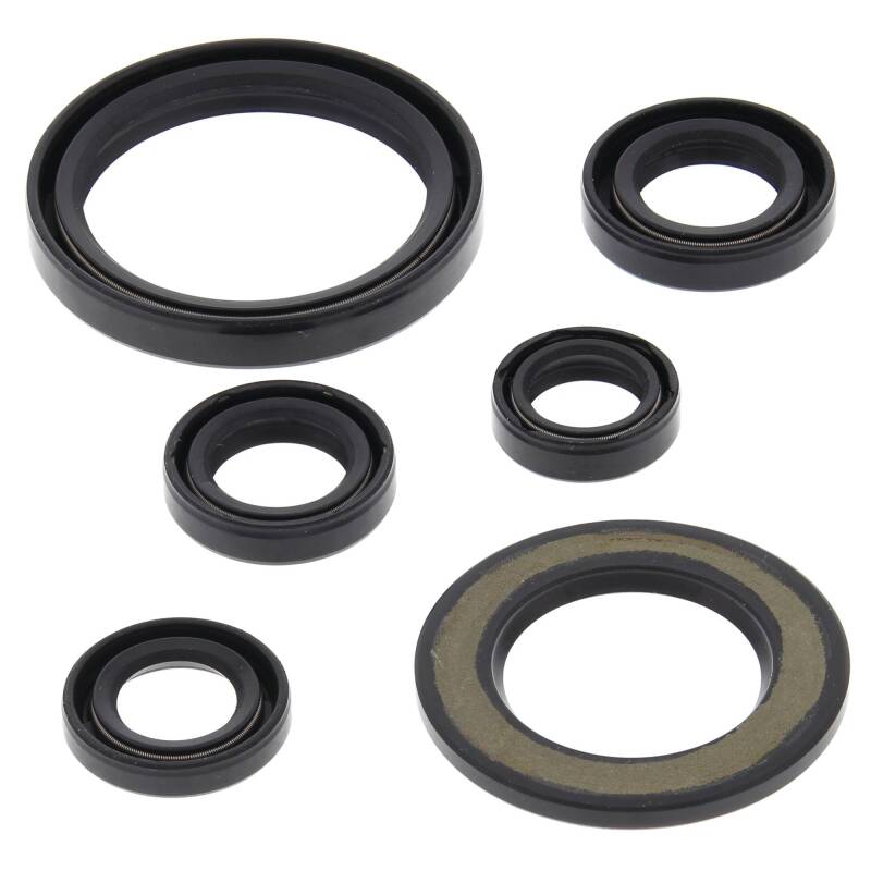 Vertex Pistons Vertex Gaskets 06-23 Yamaha YFM700R Raptor Oil Seal Kit