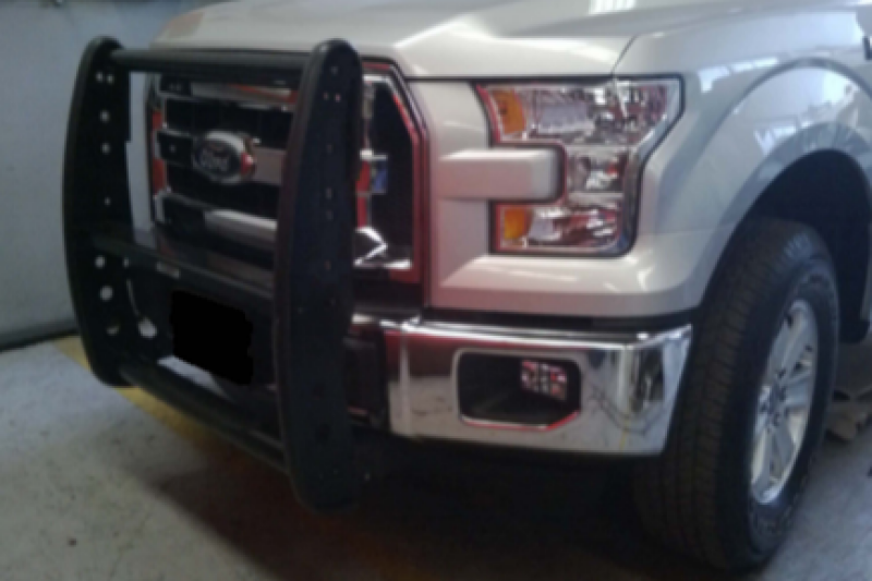Go Rhino 15-17 Ford F-150 3000 Series StepGuard - Black (Center Grille Guard Only)