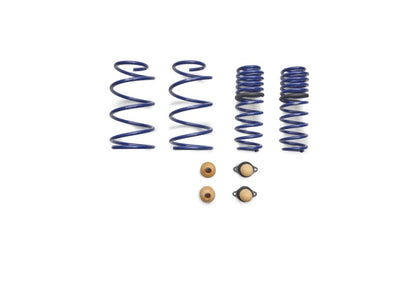 Ford Racing 2012-2013 BOSS 302 Lowering Springs