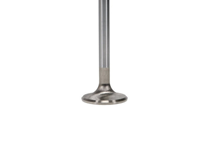 Manley Performance Manley Volkswagen Rabbit Exhaust Valve Kit - 34.00mm Head Dia. 3.976in O/A Length, 0.3130in Stem