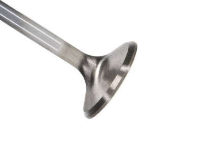 Manley Performance Manley Chrysler Hemi 6.1L w/ Triple Groove 1.625in Race Master Exhaust Valves (Single)