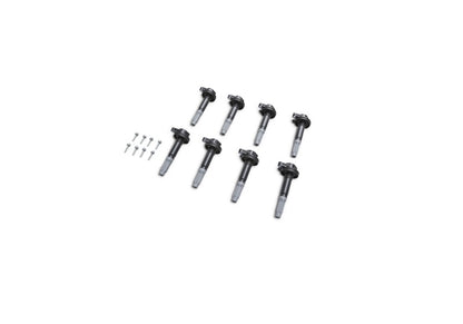Ford Racing Boss 5.0L Block Plug & Dowel Kit