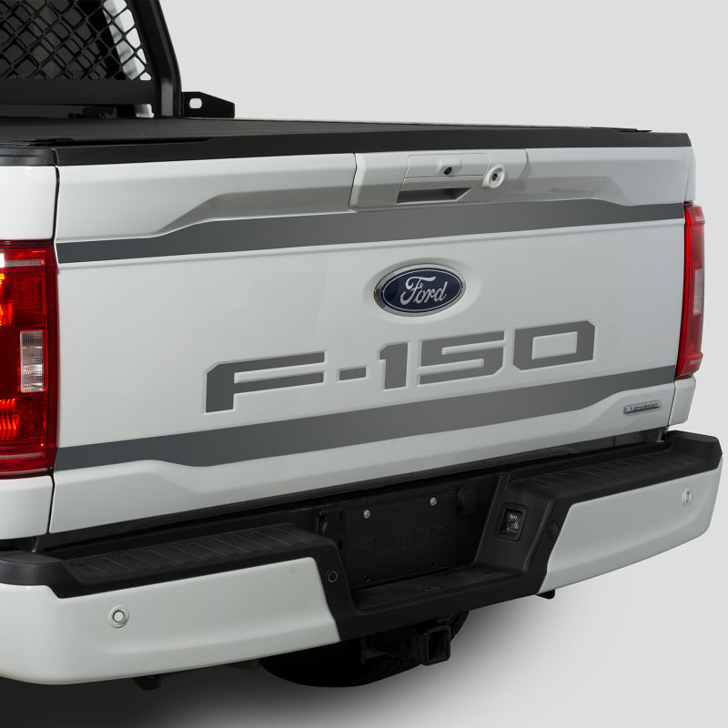 Putco 18-20 Ford F-150 (Cut Letters/Stainless Steel) Tailgate