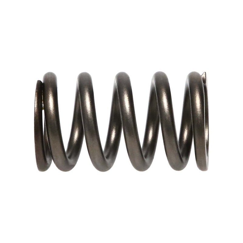 Manley Performance Manley Dodge SRT-4 16pc Valve Springs