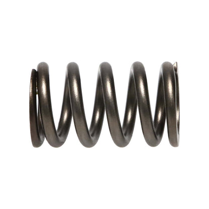 Manley Performance Manley Dodge SRT-4 16pc Valve Springs