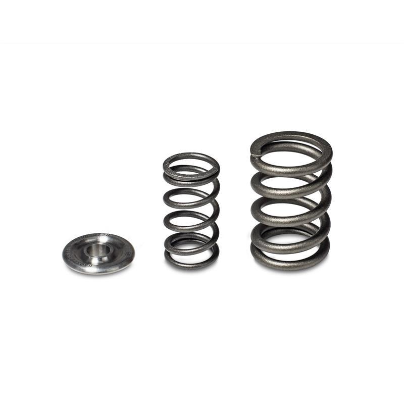Skunk2 Racing Skunk2 Alpha Series Honda/Acura H Series Valve Spring and Titanium Retainer Kit