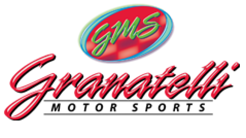 Granatelli Motor Sports Granatelli 4.0in V-Band Mild Steel Flat Flanges w/Clamp