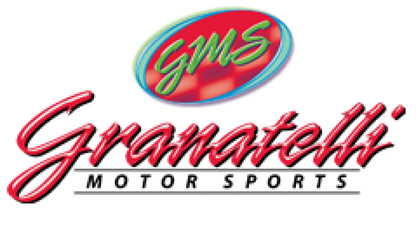 Granatelli Motor Sports Granatelli 86-93 Dodge Daytona 4Cyl 2.5L Performance Ignition Wires