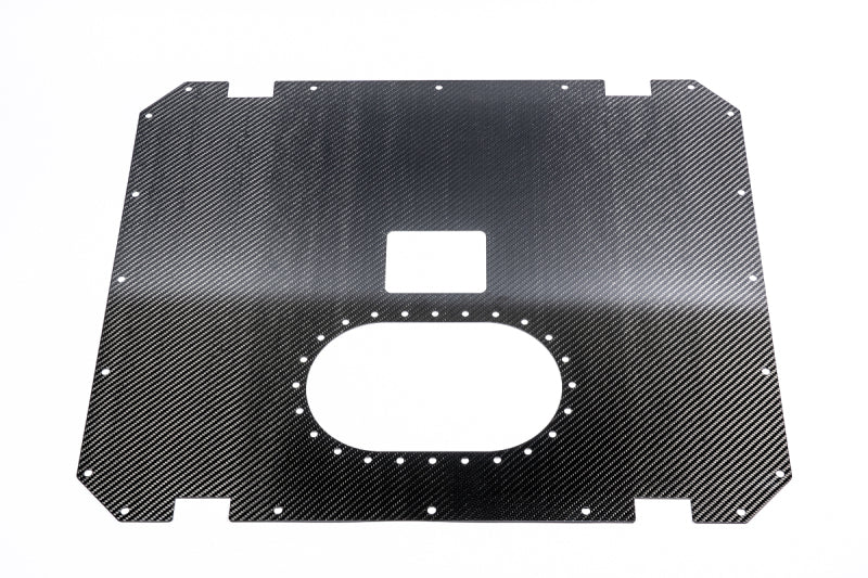 Radium Engineering Carbon Fiber Fuel Cell Lid - 22 Gal