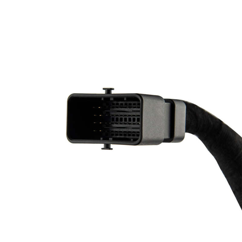 DS18 Plug and Play Harness For Harley-Davidson For DS18 Amp Connection w/ Factory Radio