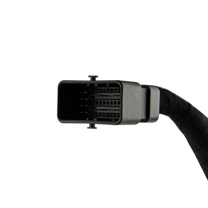 DS18 Plug and Play Harness For Harley-Davidson For DS18 Amp Connection w/ Factory Radio