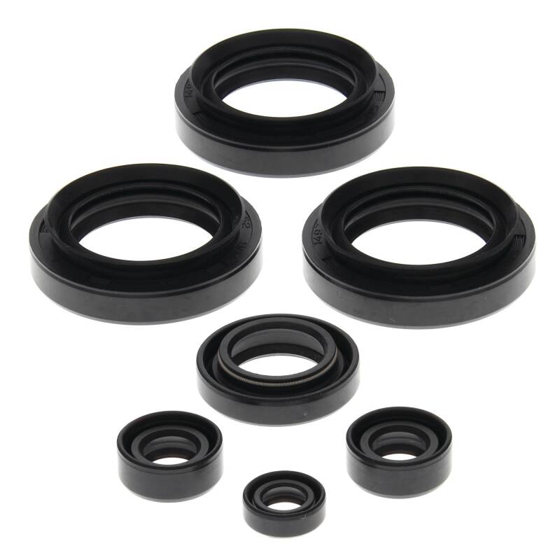 Vertex Pistons Vertex Gaskets 99-05 Arctic Cat 250 2x4 Oil Seal Kit