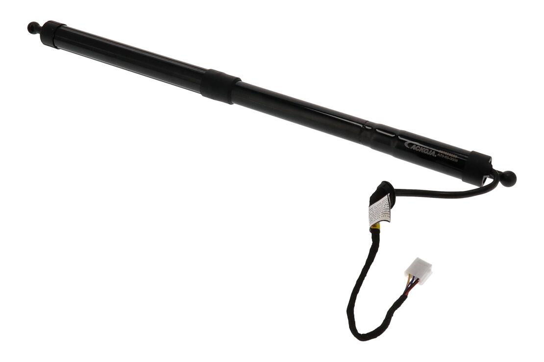 Ackoja A70550008 Electric Motor, Tailgate