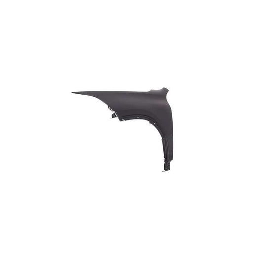 Genuine BMW 41007484211 F39 Side Panel, Front Left (Inc. X2 28i, X2 20iX & X2 18dX)