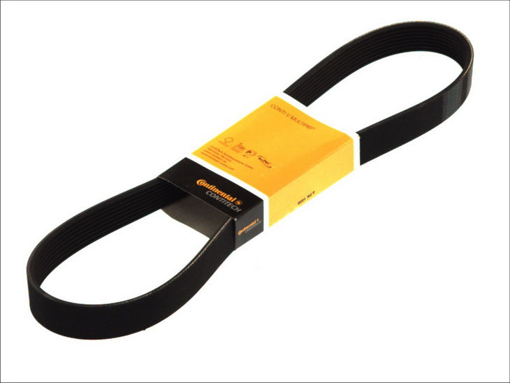 CONTITECH 8PK2035 V-Ribbed Belt