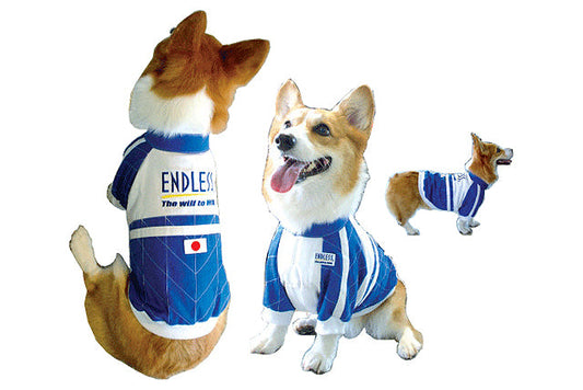 Endless GSP-DGL-S-S Dog Racing Suit S | ML Performance Car Parts