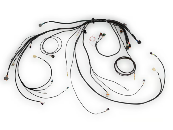 Haltech HT-186500 Nexus Rebel LS Terminated Harness for Rebel LS ECU